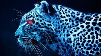 Cool Tiger Background