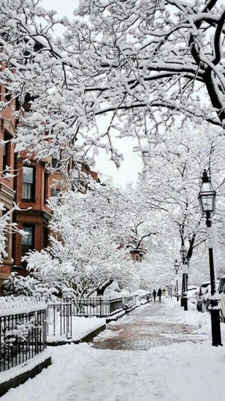 Snow Aesthetic Wallpaper