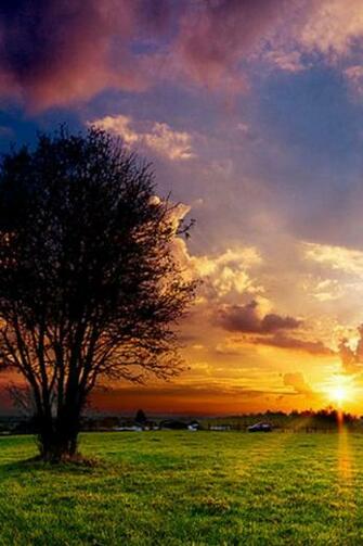 Sunset Spring iPhone Wallpaper HD