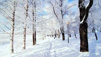 Snow Pictures Wallpaper Snowy Scene HD