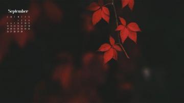 September Calendar Wallpaper Best Desktop Phone Background