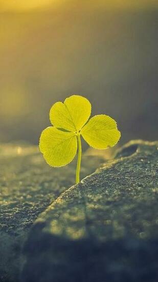 Awesome Lock Screen Wallpaper IBackground Net