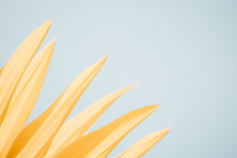 Minimalist Pastel Pictures Image