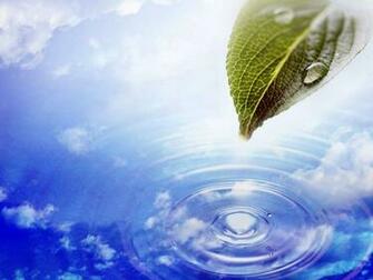 Animated Wallpaper Windows See To World