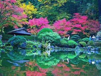 Nature Full HD Wallpaper Absolutly Fresh Fruits Current Food