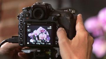 Looking At Some Bells And Whistles On The D500 Nikon Tips