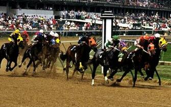 Horse Racing Field Wallpaper Pictures