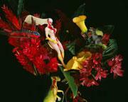 Sex Death And Toy Dinosaurs Collide In Nobuyoshi Araki S