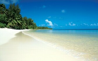 Sunny Beaches Wallpaper
