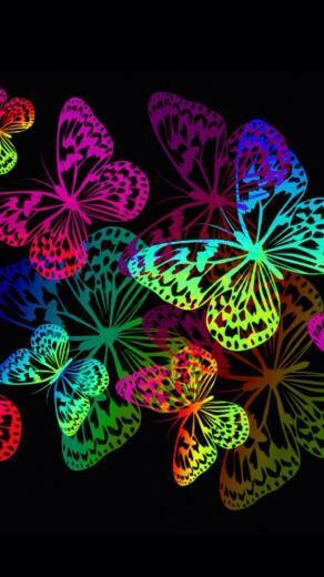 Mariposas Coloridas Colorful Butterflies Arco Iris Rainbow