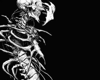 Skeleton Computer Wallpaper Desktop Background