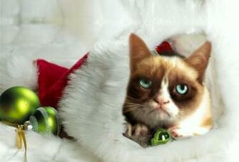 Grumpy Cat Christmas Wallpaper Jpg