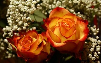 HD Wedding Background 1080p Black For Mac Love