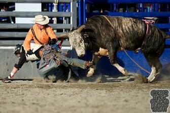 Lane Frost Bull Riding Wallpaper Protect Rider Friday
