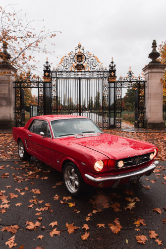 Vintage Car Pictures HD Image