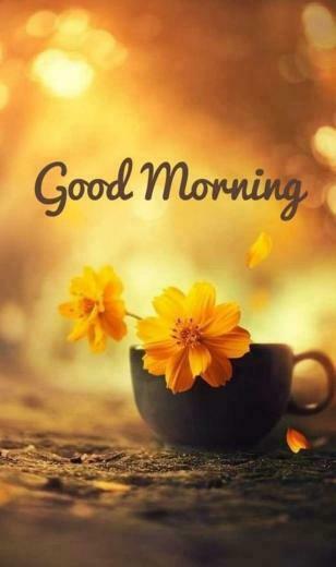 Good Morning Quotes And Image Positive Words For