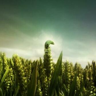 iPad Abstract Nature Wallpaper Quoteko