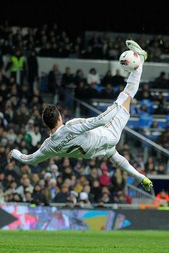 El Momento De La Fiera Deportes Pa S