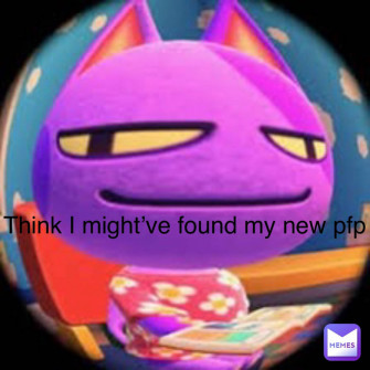 Meme Pfp Wallpaper