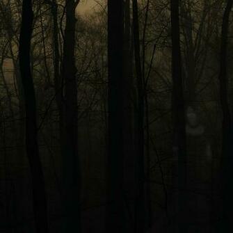 Haunted Forest iPad Wallpaper