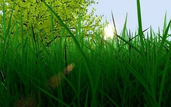Mind Relaxing Wallpaper
