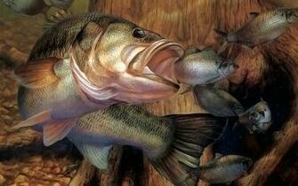 Fishing Wallpaper Animals Fish HD Desktop