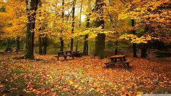 Romantic Fall Wallpaper Wallpoper