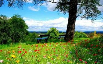 Spring Wallpaper HD