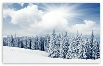 Winter Wallpaper