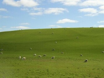 HD Desktop Background Microsoft Background