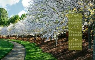 Funstuff Calendars Screensavers Katenet Background