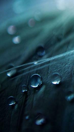 Samsung Galaxy S3 Wallpaper HD
