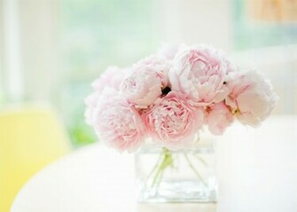 What Is The Big Deal About Mother S Day