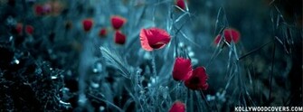 HD Wallpaper Fb Abstract Red Rose Garden