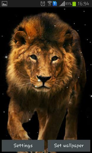 Lion Live Wallpaper Screenshots How Does It Look
