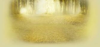 Hart Of Dixie Wallpaper Photo