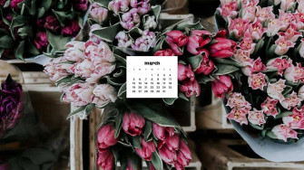 March Wallpaper Bies For Desktop Phones