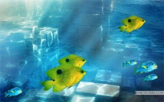 Cool Fishing Background To Set This Yellow Fish