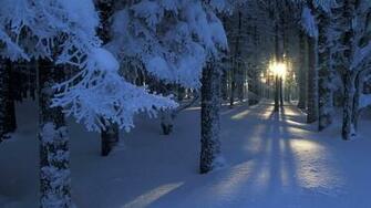Winter Snow Seasons Sunlight Sunrise Sunset Wallpaper Background