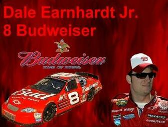 Dale Earnhardt Jr Wallpaper