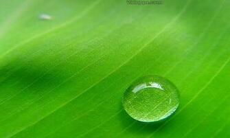 Rainy Day Wallpaper For Android By Andplay Appszoom