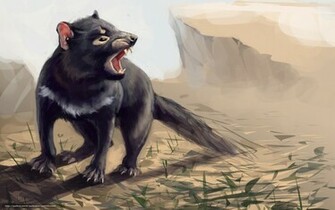 Wallpaper Art Tasmanian Devil Animal
