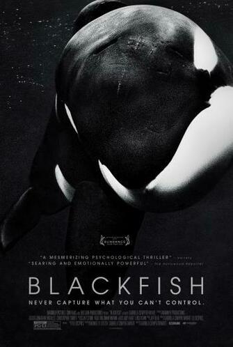 Blackfish Photo Gallery