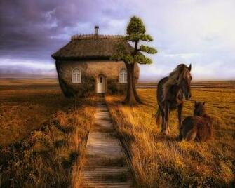 House 3d Abstract Wallpaper Horses Desktop