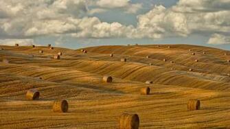 Bing Wallpaper Archive