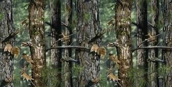 Hunting Camo Graphics Code Comments Pictures
