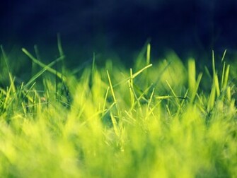To Green Grass Wallpaper Click On Full Size And Then Right