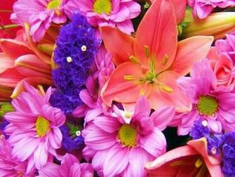 Flowers Flower Screensaver