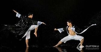 Martial Arts Wallpaper Art Fight Photos