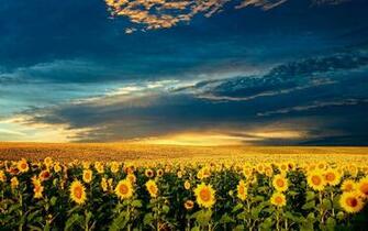 Magical Desktop Wallpaper Pics Picture Izismile